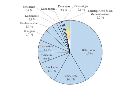 Abbildung 3: Prozentualer Anteil einzelner Wasservogelarten am Gesamtbestand. 