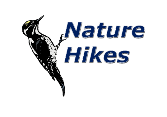 Nature Hikes - Wanderleiter Roland Kuemmerle