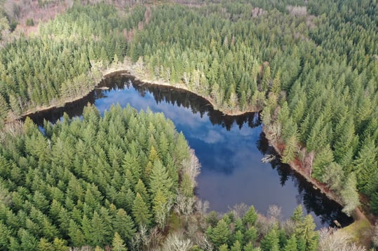 les Agadis. domaine de Servière en Corrèze.