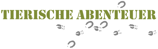 tierische-abenteuer.ch