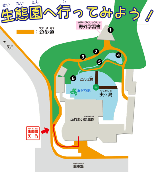 生態園へ行ってみよう！