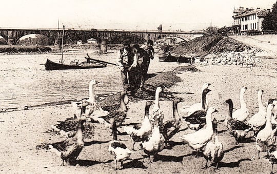 orthe, inondation, peyrehorade, landes, aquitaine, peche, lamproie, pyrenees, gave, arthous, adour, sorde, barthes, radelage, alose, saumon, port de lanne, couralin, hastingues,  tilhole, galupe