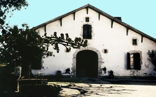 orthe, st etienne d’orthe, adour, gave, peyrehorade, landes, aquitaine, dax, arthous, cagnotte, sorde, barthes, rasport, alose, saumon, kiwi, pedelucq, hondelatte, miremont