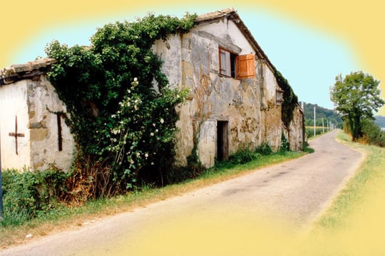 orthe, inondation, peyrehorade, landes, aquitaine, peche, lamproie, pyrenees, gave, arthous, adour, sorde, barthes, radelage, alose, saumon, port de lanne, couralin, hastingues,  tilhole, galupe