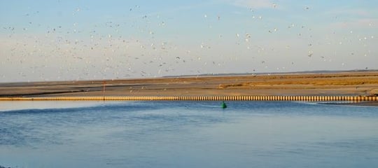 Vue depuis le CKMV Baie des Phoques
