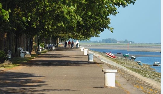 CKMV Baie des Phoques