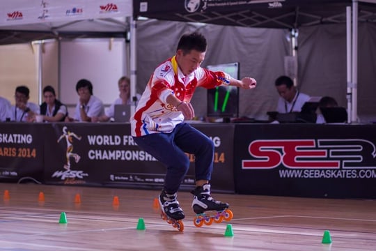 WFSC 2014 by Ksenija Komarchuk 