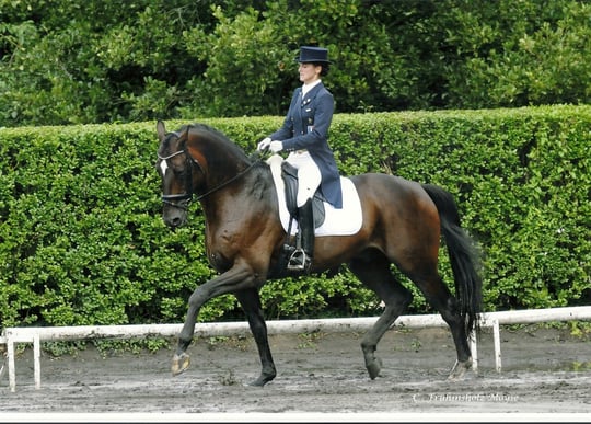 OTTO MAIL étalon par Weltmeyer et Hand in Glove