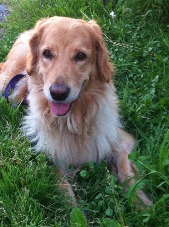 Pause während einer Sommerabend-Fahrradtour