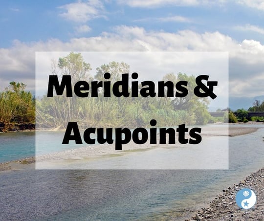 Meridians & Acupoints on the Beachside Blog
