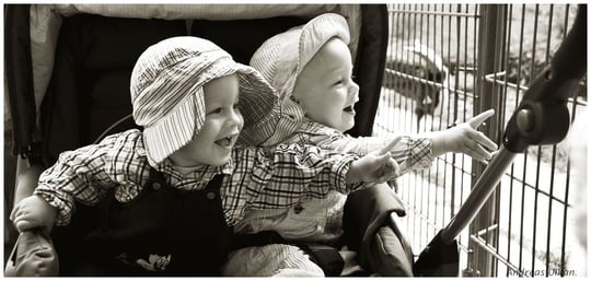 Zwillingsbegeisterung | fotografiert 07-2011