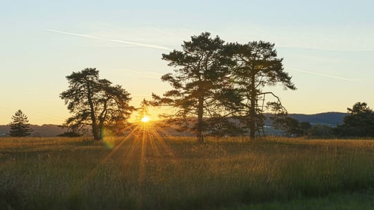 Ochsensitz, Foto: Jonas Meyer