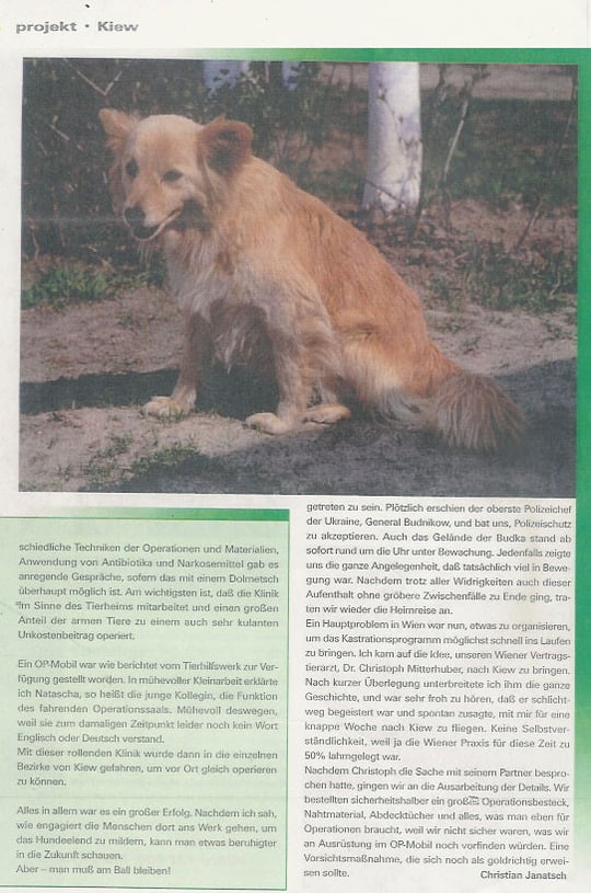 Ein Hundeleben in Kiew III (Teil 2)