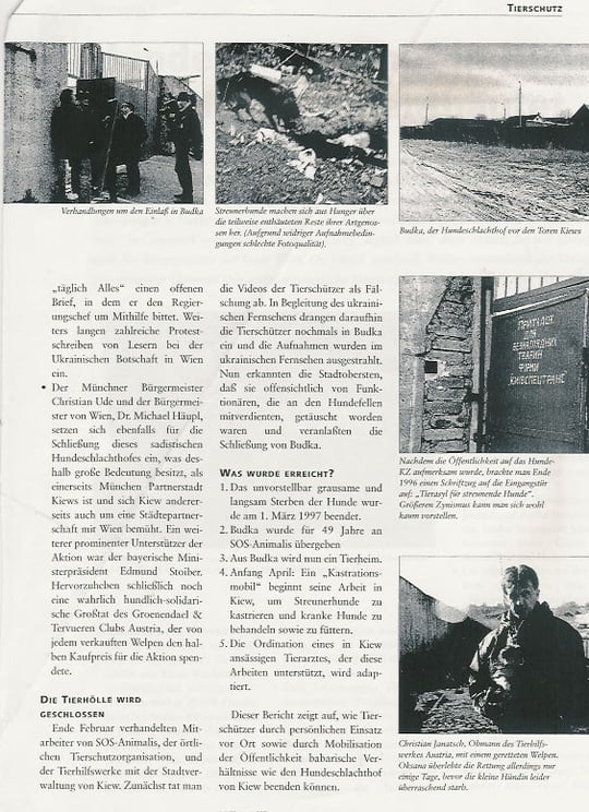 Hundeschlachthof in Kiew (Teil 2)