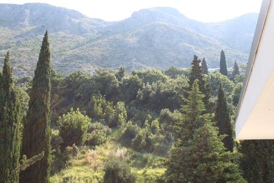 Der Blick auf die Bergseite.