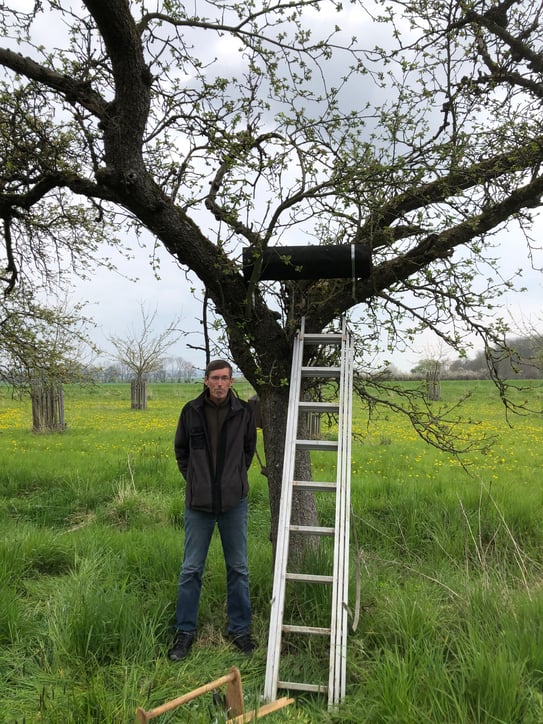 Leiter an einem niedrigen Baum, eine schwarze Röhre waagerecht im Baum