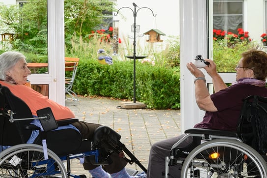 Foto: Tobias Tschapka