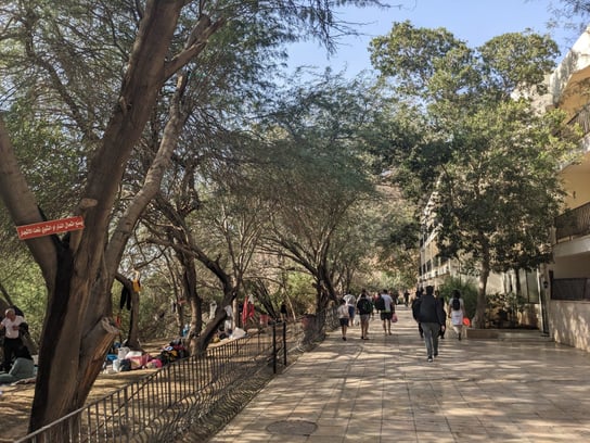 A path connection the first pool with the pools in the backer part. On the side are picknick areas