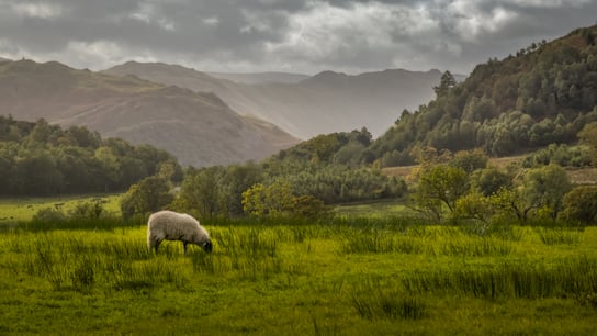 Fotograaf: Albertine Boere