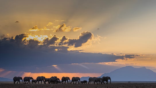 Fotograaf: Fred Bisschop
