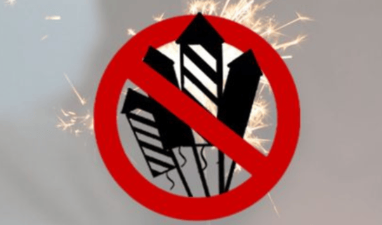 (Bild: feuerwerksinitiative.ch)