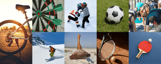 Abbildung der 9 Sportarten des TSV Bertoldshofens