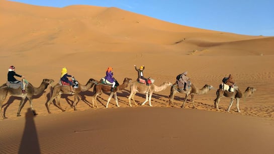 モロッコ/サハラ砂漠「キャラバン隊」モロッコ在住日本人Mikaのブログ