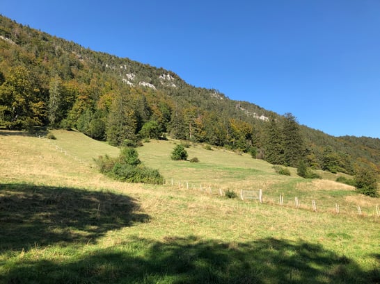 randonnée gorges de l'areuse, histoire, géologie et poésie
