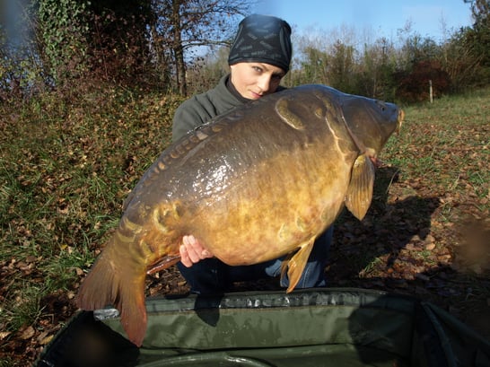 pêche des carpes en France