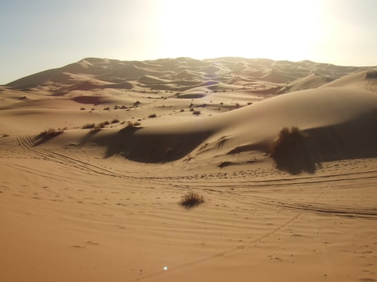 360度どこを見渡しても奥行きのある「砂漠」の景色