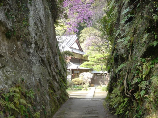 客殿へ続く切通し