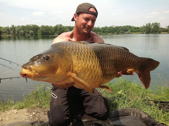 peche des carpes communes en étang privé