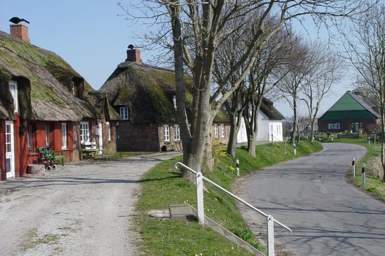 Reetdachhäuser auf Pellworm