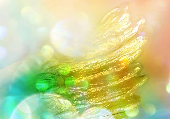 「レムリアン・ヒーリング®認定講座」を学ばれる前の導入に