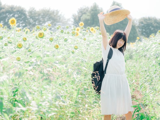 マット総合管理有限会社 ブログ 大沼湖畔 ロハス