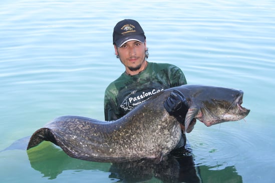 record pêche silure du domaine privé