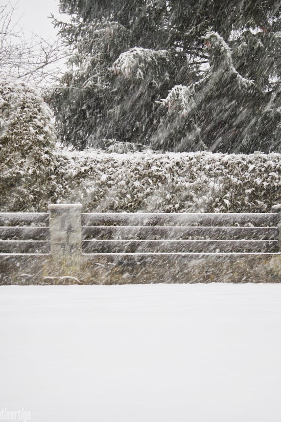 dieartigeBLOG - Schneetreiben auf der Dorfstraße vor der Einfahrt