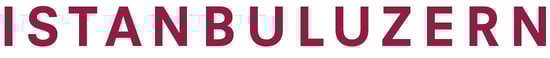 Verein Istanbuluzern