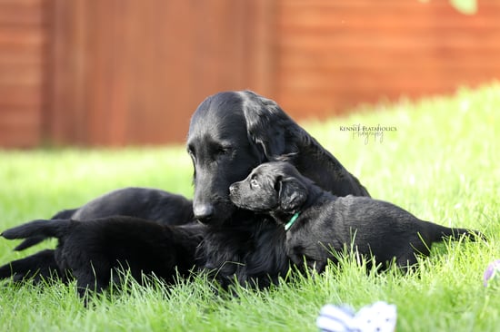 Mama Sunny mit Sohnemann Mint