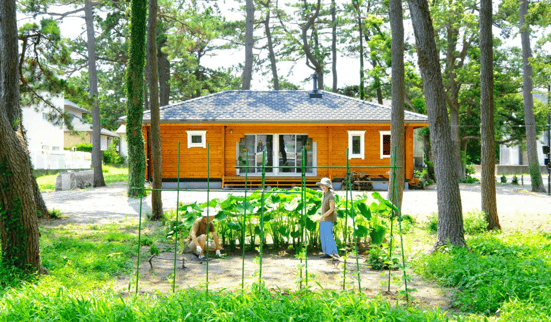 TALOログハウス人気平屋モデル　HI-4A