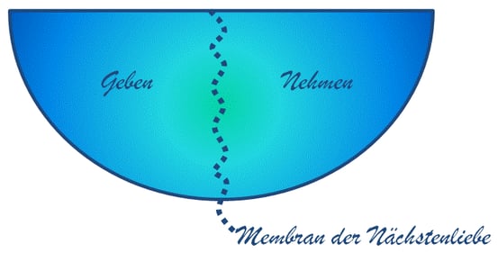 illustration by la froschette