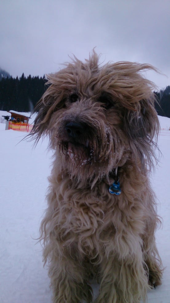 Was ist mit meiner Frisur passiert?