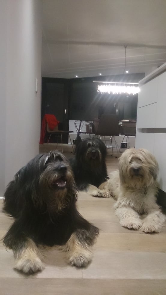 Pipi, Aaron und Tamie 