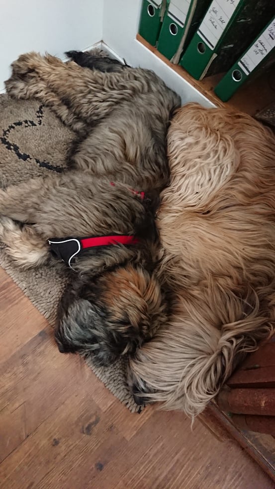 Carla schmust mit Eli 