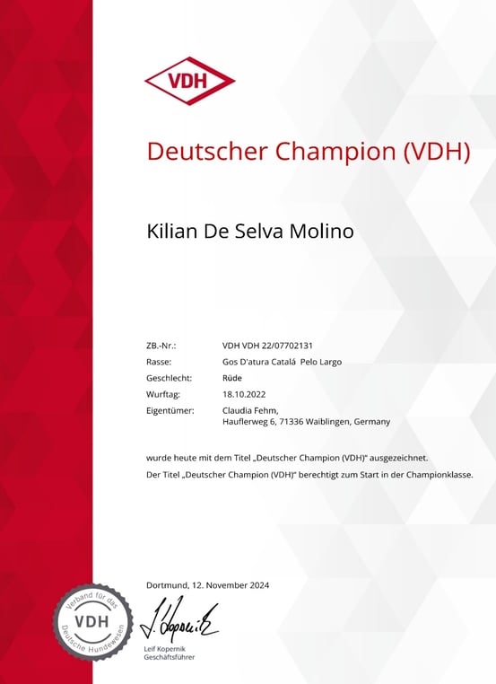 Kilian hat in kürzester Zeit fünf Anwartschaften für den deutschen Champion (VDH) bekommen 