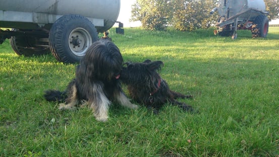 Du bekommst ein Küsschen