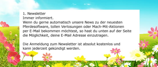 Was ist der Newsletter?