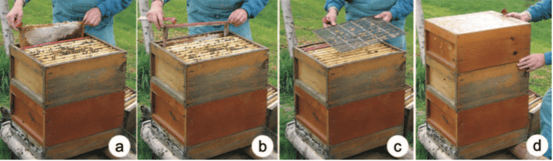 Erweiterung der Voelker