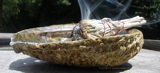 Abalone Muschel zum Räuchern mit weissem Salbei auf traditionelle Art
