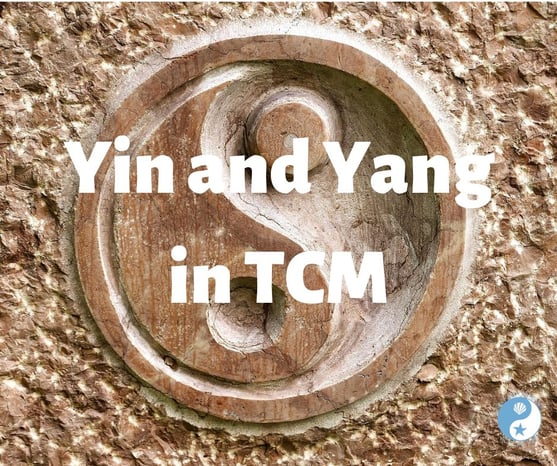 Yin and Yang in TCM on the Beachside Blog